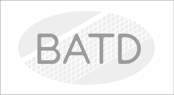 Accueil slide client batd