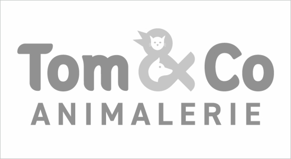 Accueil slide client tom & co